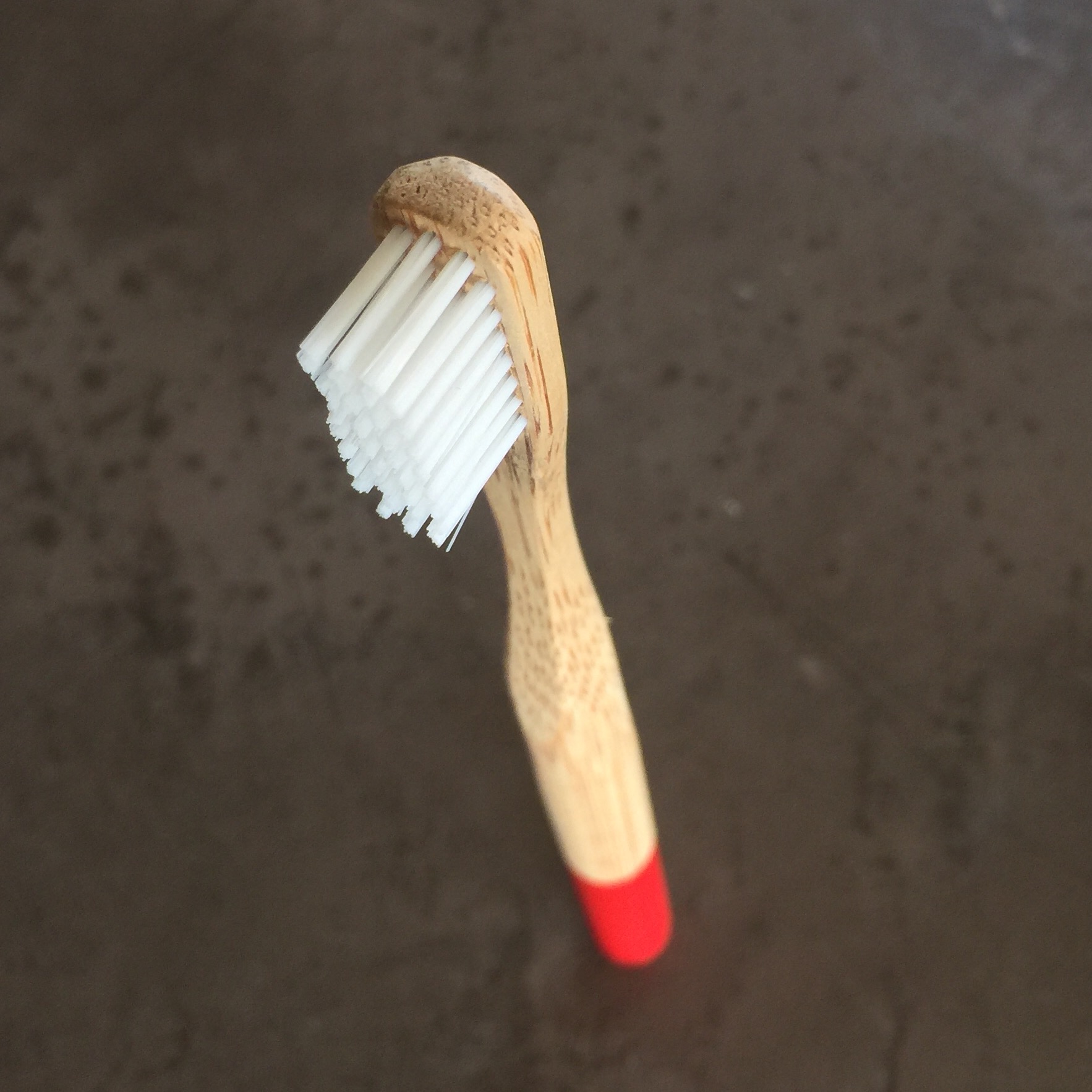 brosse à dent / zahnbürste